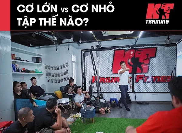 Tập thế nào với cơ lớn và cơ nhỏ để phát triển đồng đều