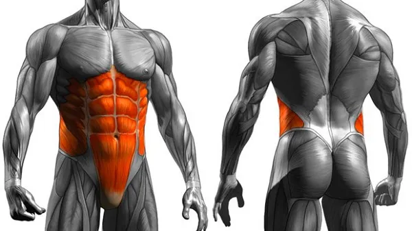 Tập vùng Core tốt sẽ đẹp và khỏe, hạn chế chấn thương lưng