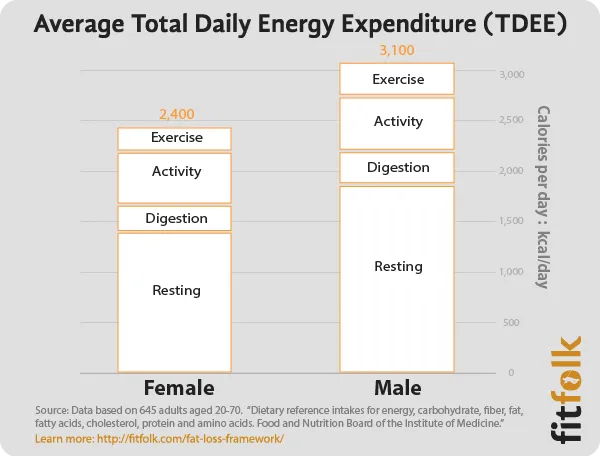 TDEE là tổng lượng năng lượng bạn xài trong 1 ngày