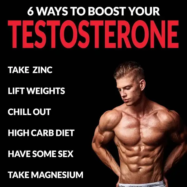Testosterol rất cần thiết cho nam giới không chỉ vì cơ bắp