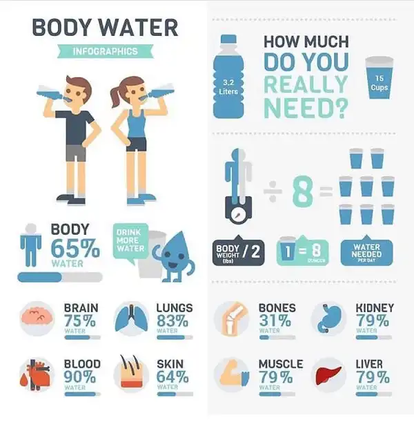 Thật ra bạn chưa bị mất cơ mà cái mất chỉ mới là nước Thật ra bạn chưa bị mất cơ mà cái mất chỉ mới là nước