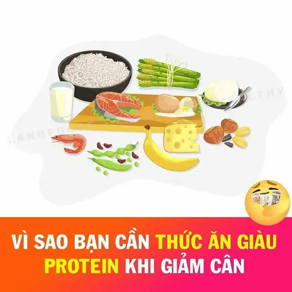 Lựa chọn thức ăn giàu Protein sẽ giúp bạn giảm cân hiệu quả hơn