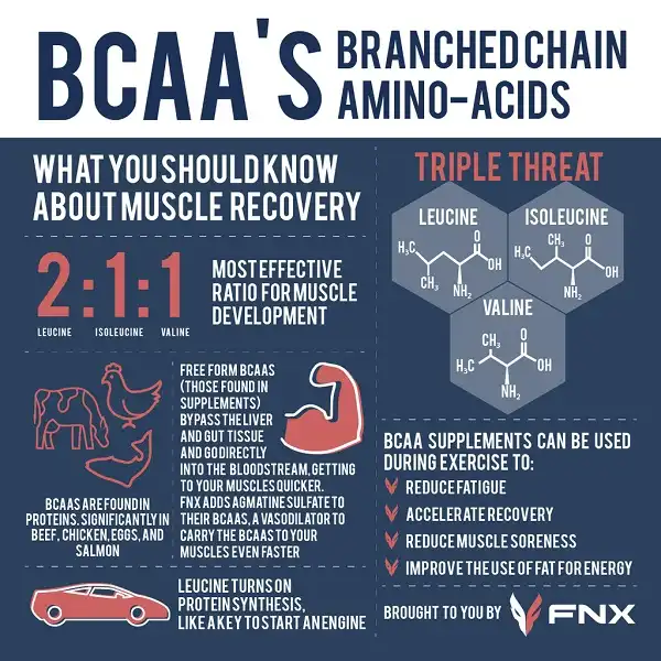 Thực phẩm bổ sung BCAA giảm tổn thương cơ tổng thể đồng thời tăng tốc hồi phục Thực phẩm bổ sung BCAA giảm tổn thương cơ tổng thể đồng thời tăng tốc hồi phục