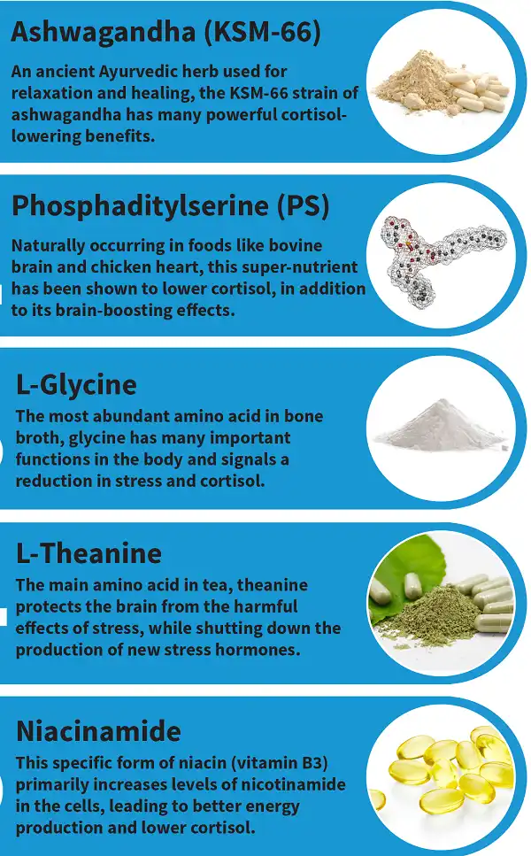 5 loại thực phẩm bổ sung giúp giảm Cortisol