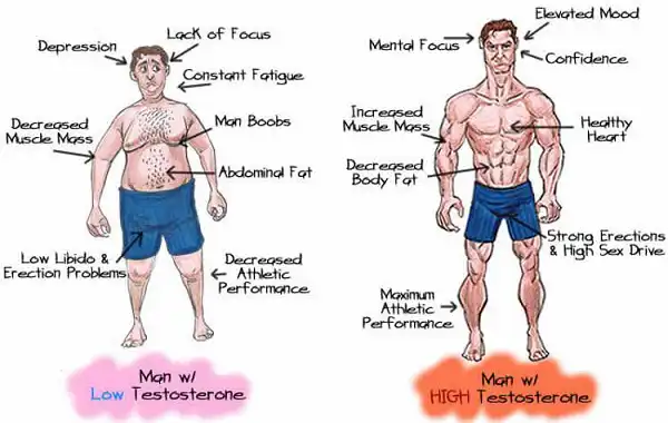 Thực phẩm bổ sung tăng Testosterone