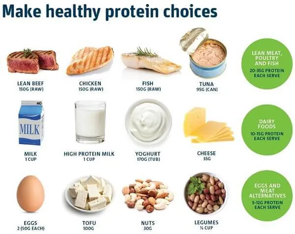 1 số loại thực phẩm giàu Protein cho bạn tham khảo vào thực đơn 1 số loại thực phẩm giàu Protein cho bạn tham khảo vào thực đơn
