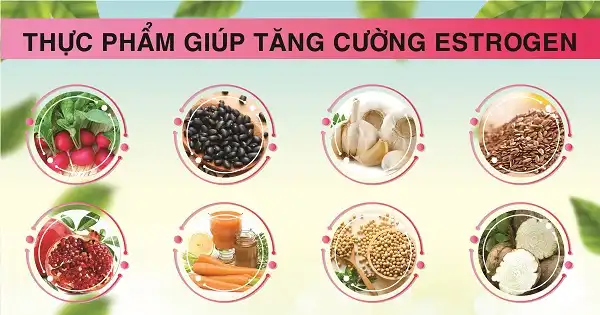 1 số thực phẩm giúp chị em tăng cường Estrogen 1 số thực phẩm giúp chị em tăng cường Estrogen