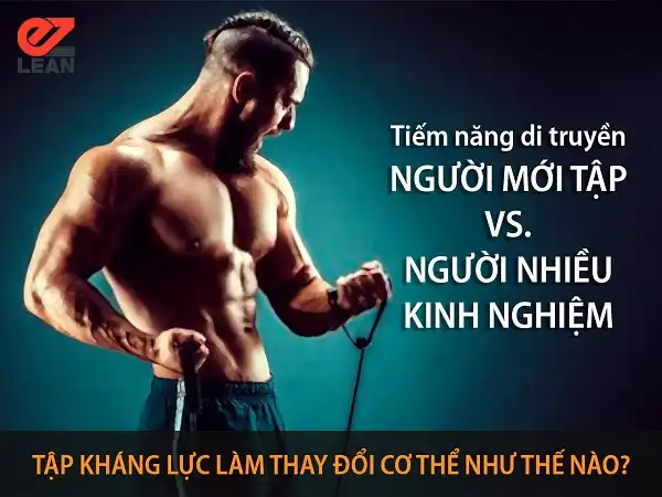 Tiềm năng phát triển của người chưa tập và người tập nhiều kinh nghiệm