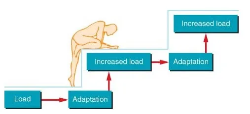 Tiến bộ qua thời gian với người muốn tăng cơ Tiến bộ qua thời gian với người muốn tăng cơ