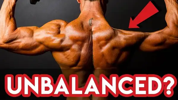 Tìm hiểu về mất cân bằng cơ Tìm hiểu về mất cân bằng cơ
