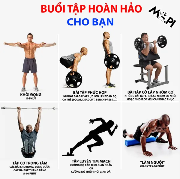 Tôi sẽ kể cho bạn nghe như thế nào là 1 buổi tập hoàn hảo Tôi sẽ kể cho bạn nghe như thế nào là 1 buổi tập hoàn hảo