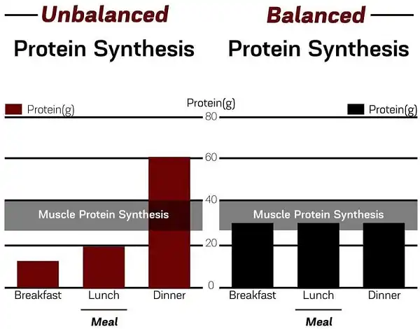 Tối ưu hoá cơ bắp thông qua việc nạp Protein