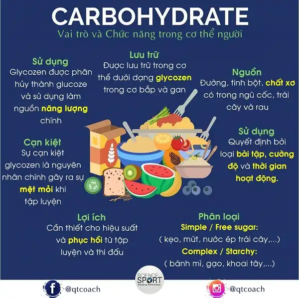 Tóm tắt nhẹ về Carbohydrate