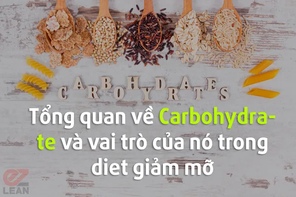Tổng quan về Carbohydrate và vai trò của nó trong giảm mỡ Tổng quan về Carbohydrate và vai trò của nó trong giảm mỡ