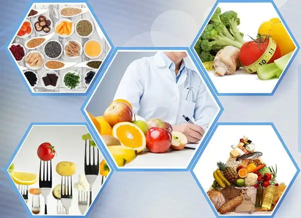Tổng quan về hệ năng lượng và dinh dưỡng