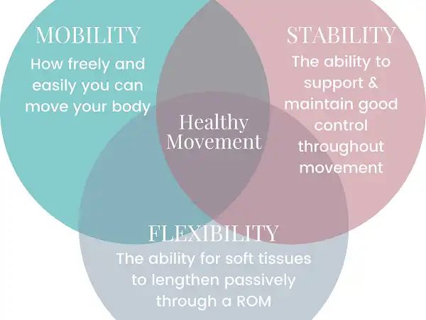 Vài dòng về Mobility, Stability, Flexibility và Extensibility