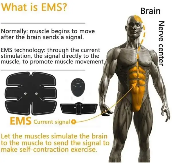 >Vài dòng về phương pháp tập dùng điện xung kích thích EMS