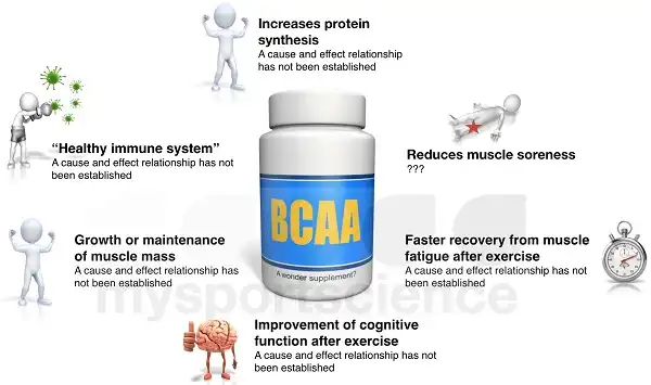 BCAA có nhiều công dụng hữu ích với cơ thể của chúng ta BCAA có nhiều công dụng hữu ích với cơ thể của chúng ta
