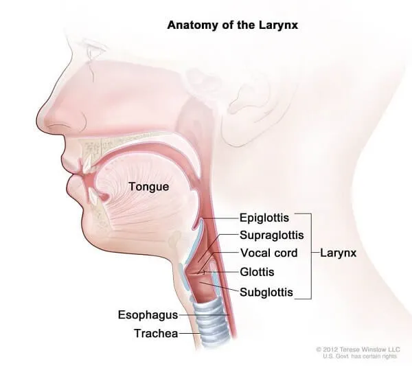Kỹ thuật Valsalva Maneuver là việc cố gắng thử mạnh ra khi khí quản đang đóng Kỹ thuật Valsalva Maneuver là việc cố gắng thử mạnh ra khi khí quản đang đóng
