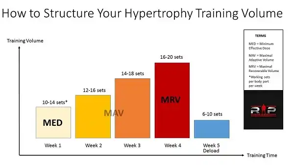 Ví dụ về Volume trong tập luyện Hypertrophy Ví dụ về Volume trong tập luyện Hypertrophy