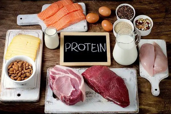 Vì sao ăn thức ăn giàu Protein lại giúp giảm cân tốt hơn