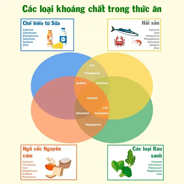 Lựa chọn thức ăn đa dạng để hạn chế thiếu hụt Vitamin và khoáng chất Lựa chọn thức ăn đa dạng để hạn chế thiếu hụt Vitamin và khoáng chất