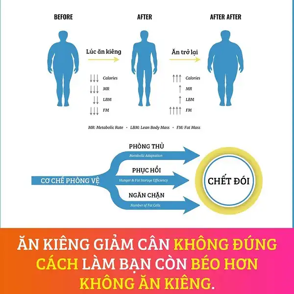 Vì sao bạn lại mập hơn sau khi ăn kiêng Vì sao bạn lại mập hơn sau khi ăn kiêng