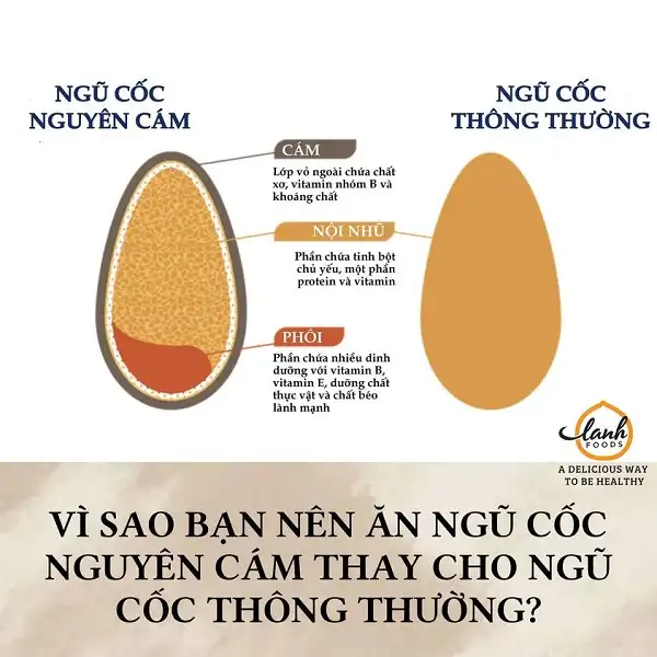 Vì sao bạn nên lựa chọn ngũ cốc nguyên cám