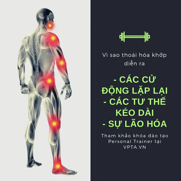 Vì sao khớp lại bị thoái hóa Vì sao khớp lại bị thoái hóa
