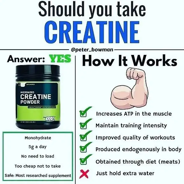 Vì sao nên dùng Creatine mỗi ngày Vì sao nên dùng Creatine mỗi ngày