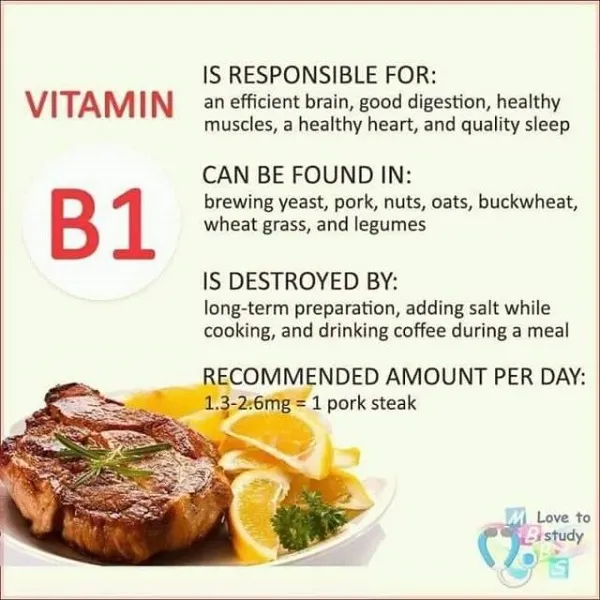 Vitamin B1 tốt cho trí não, cho hệ tiêu hóa, cho cơ bắp, cho tim vs cho giấc ngủ Vitamin B1 tốt cho trí não, cho hệ tiêu hóa, cho cơ bắp, cho tim vs cho giấc ngủ