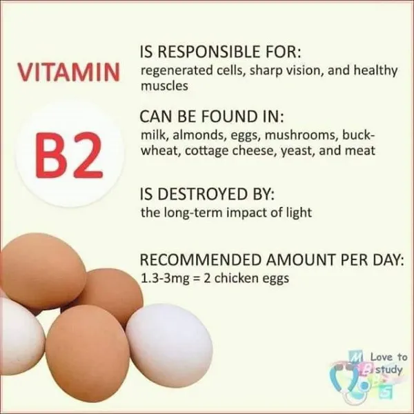Vitamin B2 hỗ trợ quá trình tái tạo tế bào, sharp vision và giúp cơ bắp khỏe mạnh Vitamin B2 hỗ trợ quá trình tái tạo tế bào, sharp vision và giúp cơ bắp khỏe mạnh