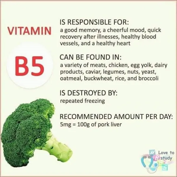 Vitamin B5 tốt cho trí nhớ, tâm trạng, hồi phục nhanh hơn sau khi bệnh Vitamin B5 tốt cho trí nhớ, tâm trạng, hồi phục nhanh hơn sau khi bệnh