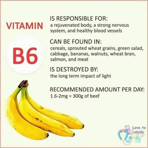 Vitamin B6 bổ trợ hệ thống thần kinh khỏe mạnh và giúp cải thiện tuần hoàn máu Vitamin B6 bổ trợ hệ thống thần kinh khỏe mạnh và giúp cải thiện tuần hoàn máu