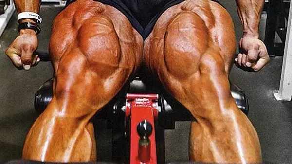 VMO là cơ giọt nước vì có hình dạng giống giọt nước