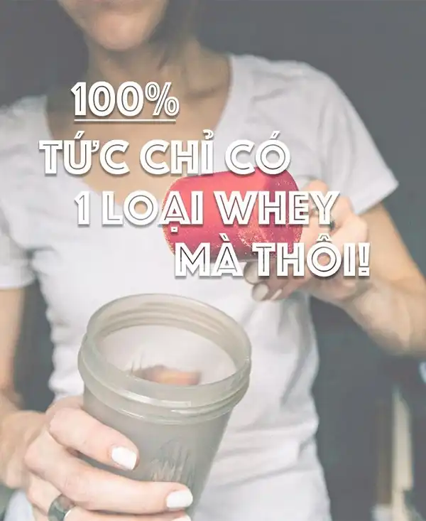 Whey 100% tức là hoàn toàn 100% chỉ có 1 loại Whey Whey 100% tức là hoàn toàn 100% chỉ có 1 loại Whey