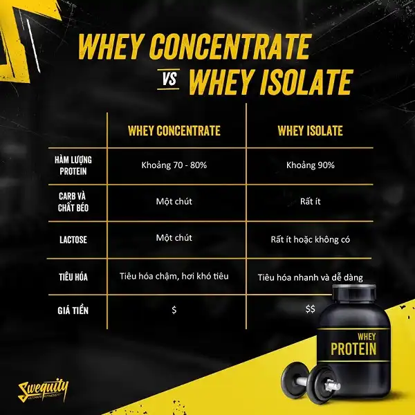 So sánh giữa Whey Concentrate và Whey Isolate So sánh giữa Whey Concentrate và Whey Isolate