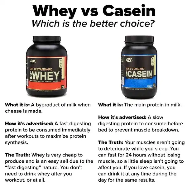 Whey & Casein đều cung cấp chất lượng Protein rất tốt để phát triển cơ bắp