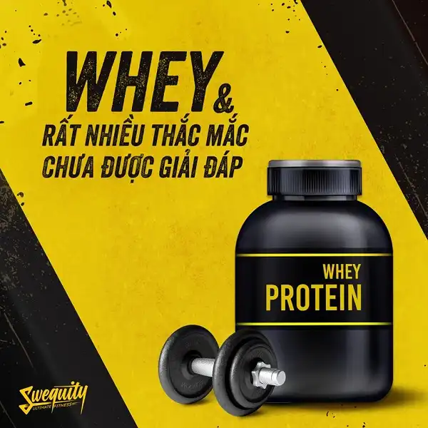 Whey và nhiều thắc mắc chưa được giải đáp Whey và nhiều thắc mắc chưa được giải đáp