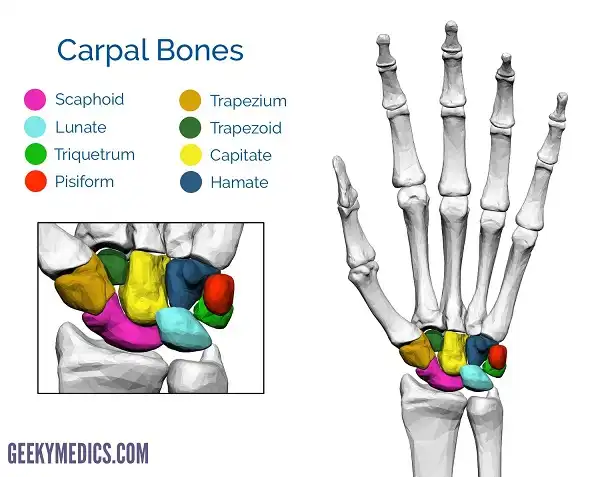 Xòe xe gây viêm khớp cổ tay không tập được